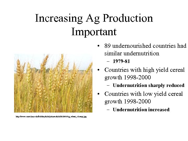 Increasing Ag Production Important • 89 undernourished countries had similar undernutrition – 1979 -81