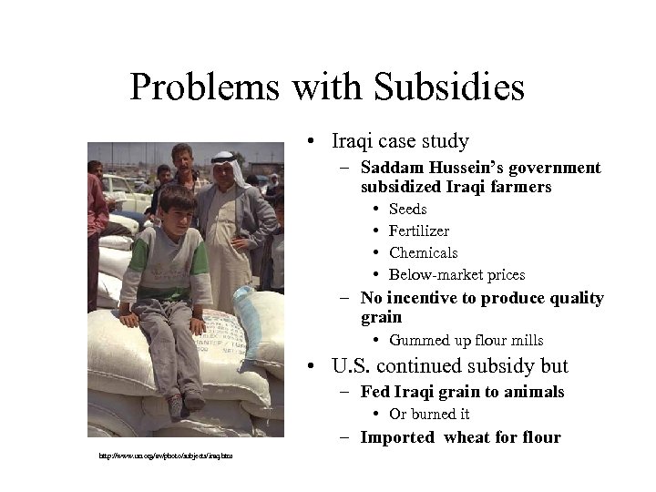 Problems with Subsidies • Iraqi case study – Saddam Hussein’s government subsidized Iraqi farmers