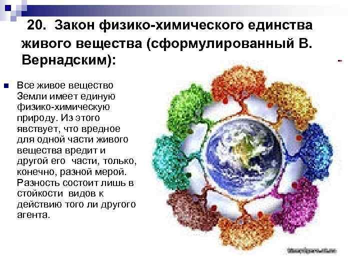 Единство химического строения. Единство всего живого на земле. Единство всего живого картинки.