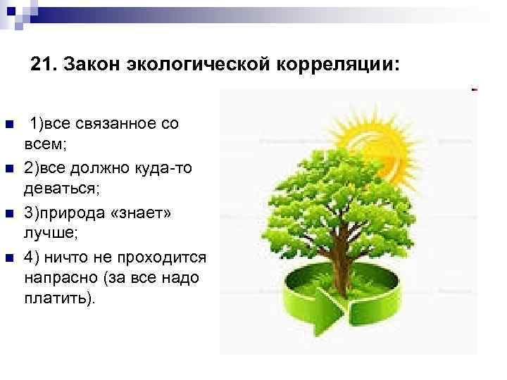 Все связано со всем. Законы экологии рисунок. Все связано со всем экология. Закон всё должно куда-то деваться. Закон об экологии картинка.