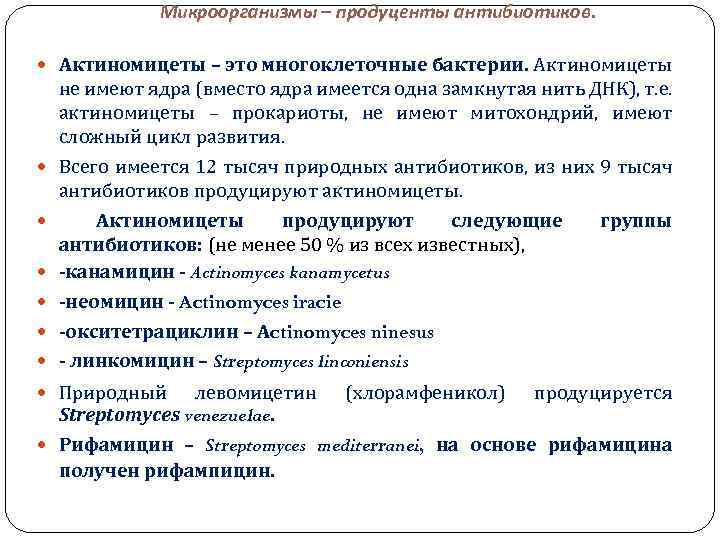 Микроорганизмы – продуценты антибиотиков. Актиномицеты – это многоклеточные бактерии. Актиномицеты не имеют ядра (вместо