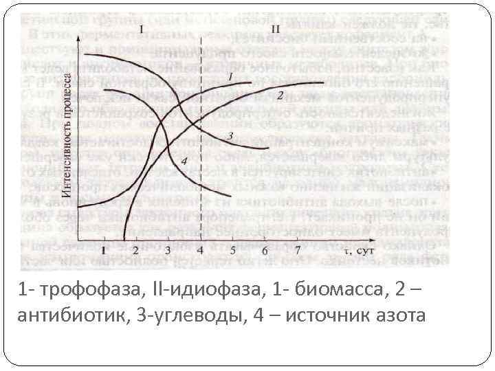 1 - трофофаза, II-идиофаза, 1 - биомасса, 2 – антибиотик, 3 -углеводы, 4 –