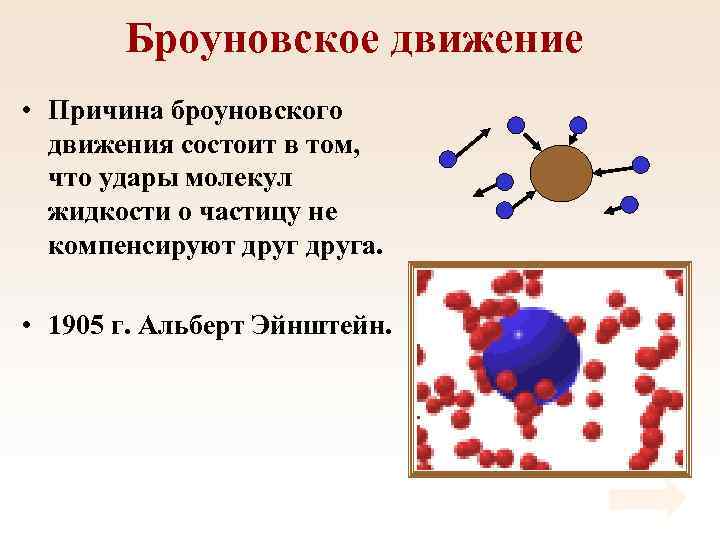 Броуновское движение • Причина броуновского движения состоит в том, что удары молекул жидкости о