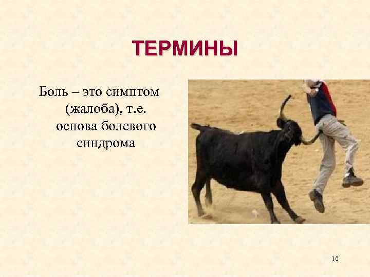 ТЕРМИНЫ Боль – это симптом (жалоба), т. е. основа болевого синдрома 10 