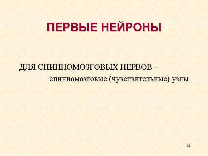 ПЕРВЫЕ НЕЙРОНЫ ДЛЯ СПИННОМОЗГОВЫХ НЕРВОВ – спинномозговые (чувствительные) узлы 14 