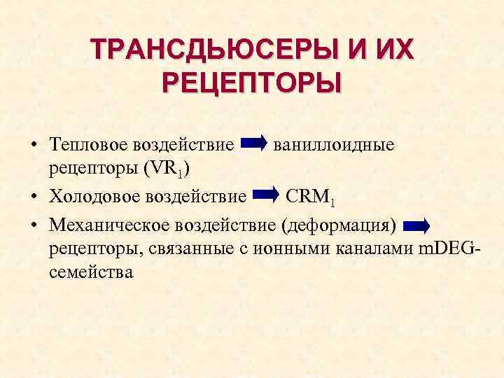 ТРАНСДЬЮСЕРЫ И ИХ РЕЦЕПТОРЫ • Тепловое воздействие ваниллоидные рецепторы (VR 1) • Холодовое воздействие
