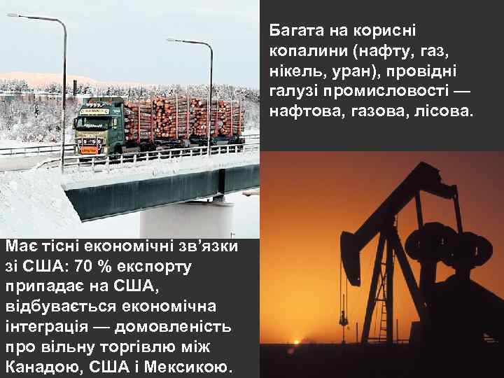 Багата на корисні копалини (нафту, газ, нікель, уран), провідні галузі промисловості — нафтова, газова,
