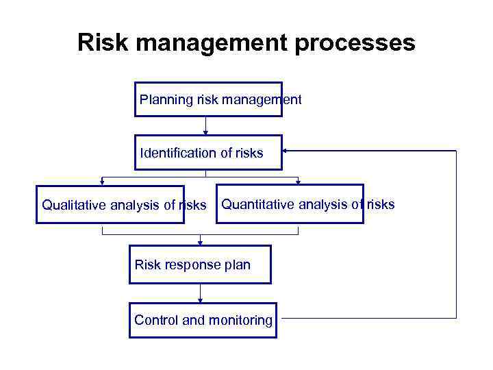 Risk management processes Planning risk management Identification of risks Qualitative analysis of risks Quantitative