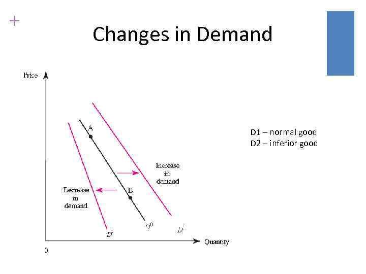 + Changes in Demand D 1 – normal good D 2 – inferior good