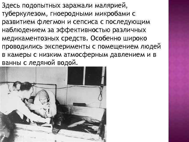 Здесь подопытных заражали малярией, туберкулезом, гноеродными микробами с развитием флегмон и сепсиса с последующим
