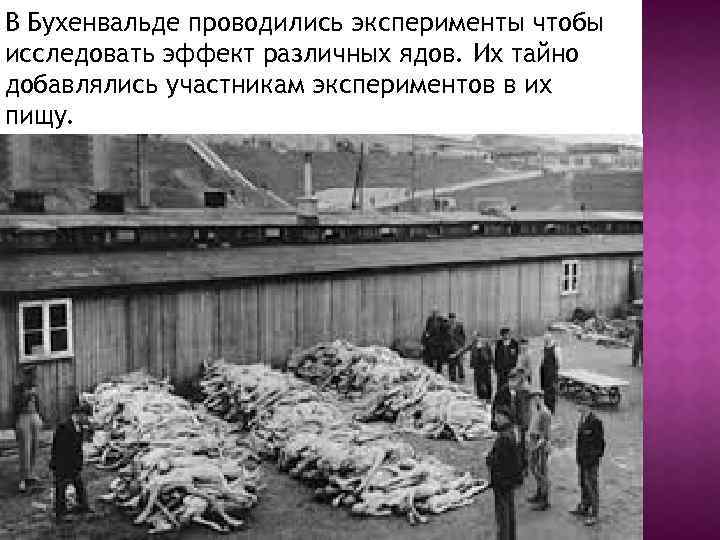 В Бухенвальде проводились эксперименты чтобы исследовать эффект различных ядов. Их тайно добавлялись участникам экспериментов