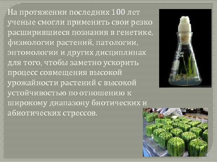 На протяжении последних 100 лет ученые смогли применить свои резко расширившиеся познания в генетике,