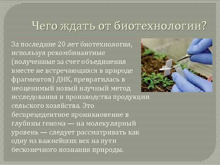 Чего ждать от биотехнологии? За последние 20 лет биотехнология, используя рекомбинантные (полученные за счет
