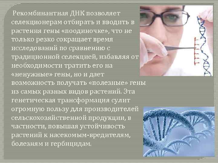  Рекомбинантная ДНК позволяет селекционерам отбирать и вводить в растения гены «поодиночке» , что