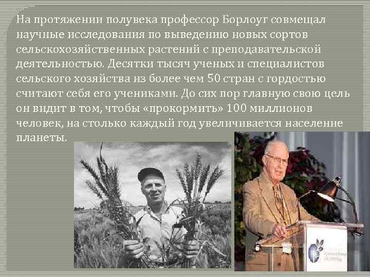 На протяжении полувека профессор Борлоуг совмещал научные исследования по выведению новых сортов сельскохозяйственных растений