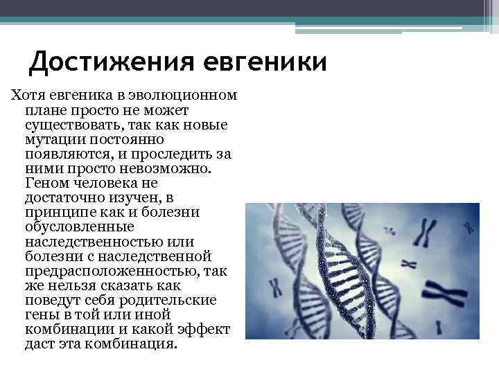 Достижения евгеники Хотя евгеника в эволюционном плане просто не может существовать, так как новые