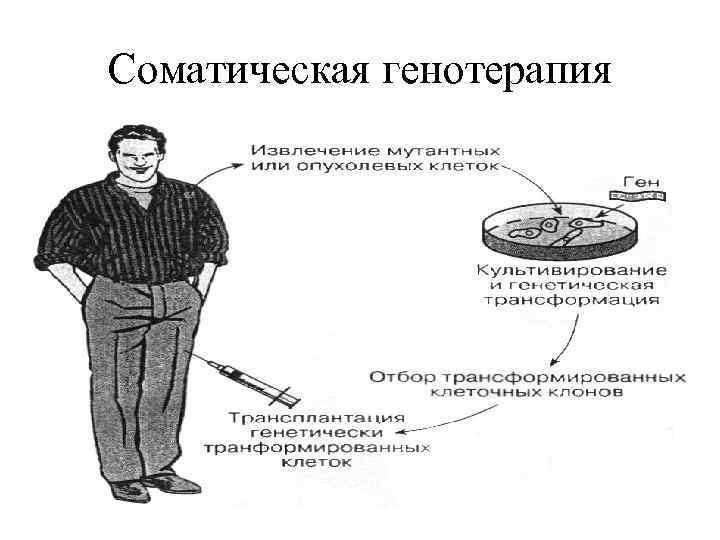 Фетальная генотерапия картинки