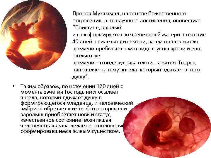 Пророк Мухаммад, на основе божественного откровения, а не научного достижения, оповестил: “Поистине, каждый из