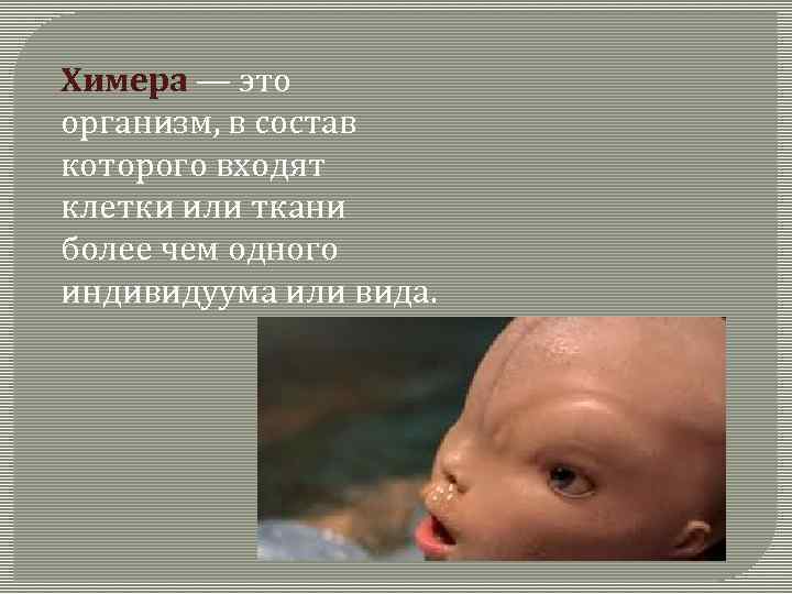 Химера — это организм, в состав которого входят клетки или ткани более чем одного