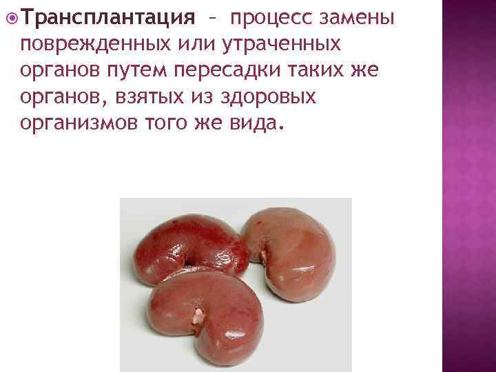  Трансплантация – процесс замены поврежденных или утраченных органов путем пересадки таких же органов,