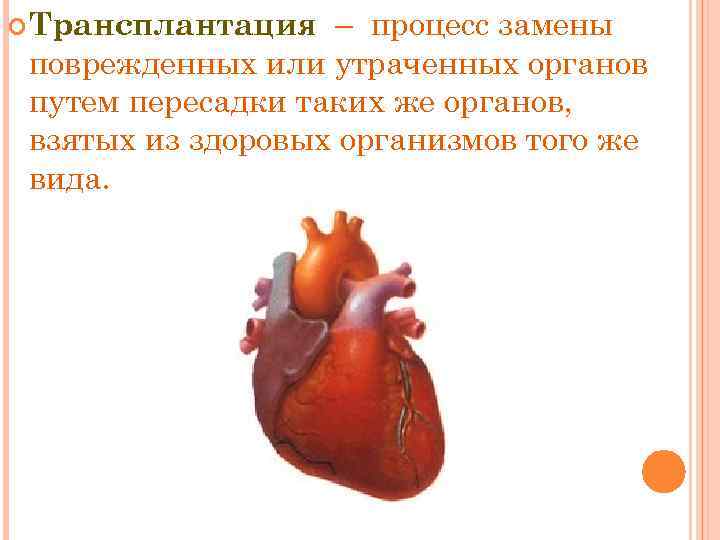 – процесс замены поврежденных или утраченных органов путем пересадки таких же органов, взятых из