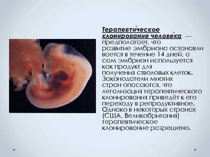 Терапевти ческое клони рование челове ка — предполагает, что развитие эмбриона останавли вается в