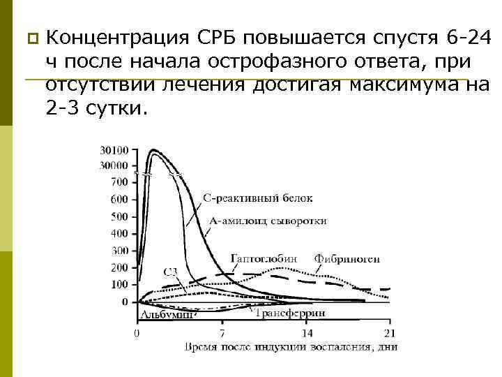 p Концентрация СРБ повышается спустя 6 -24 ч после начала острофазного ответа, при отсутствии