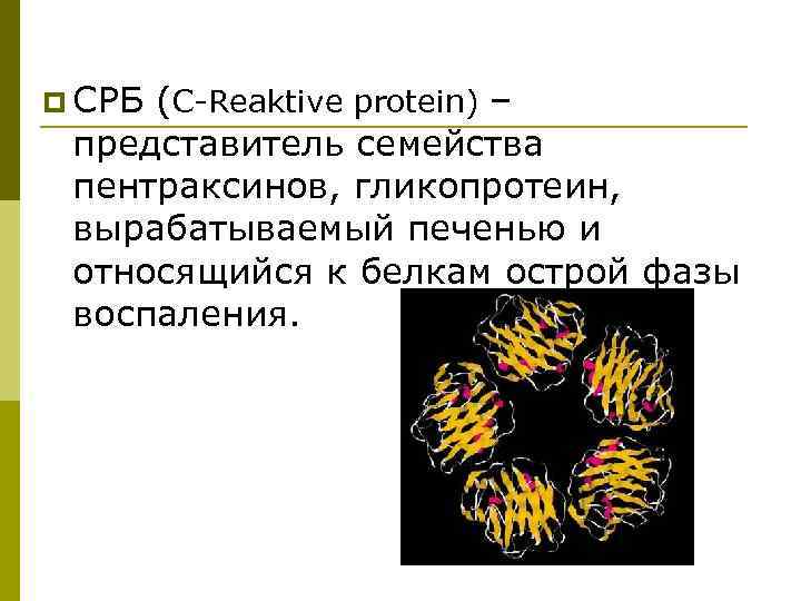 p СРБ (C-Reaktive protein) – представитель семейства пентраксинов, гликопротеин, вырабатываемый печенью и относящийся к