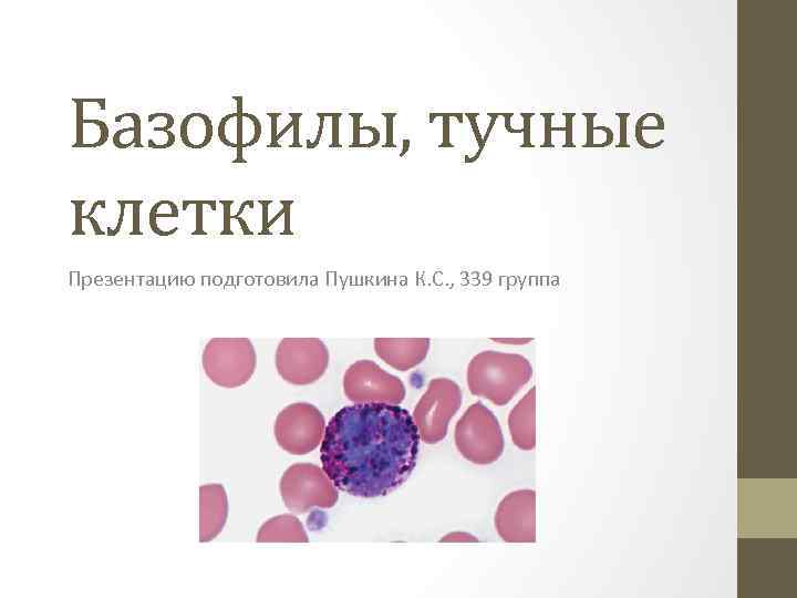 Базофилы, тучные клетки Презентацию подготовила Пушкина К. С. , 339 группа 