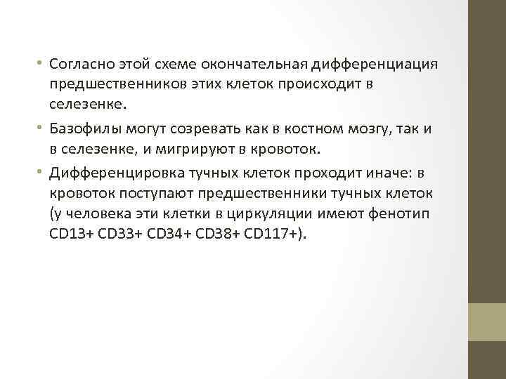  • Согласно этой схеме окончательная дифференциация предшественников этих клеток происходит в селезенке. •