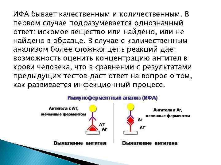 ИФА бывает качественным и количественным. В первом случае подразумевается однозначный ответ: искомое вещество или