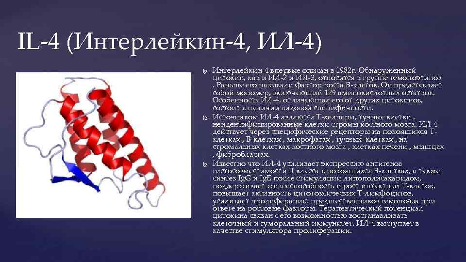 IL-4 (Интерлейкин-4, ИЛ-4) Интерлейкин-4 впервые описан в 1982 г. Обнаруженный цитокин, как и ИЛ-2