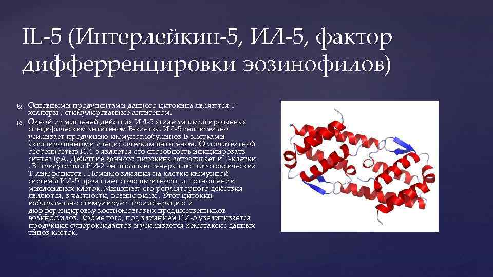 IL-5 (Интерлейкин-5, ИЛ-5, фактор дифферренцировки эозинофилов) Основными продуцентами данного цитокина являются Tхелперы , стимулированные