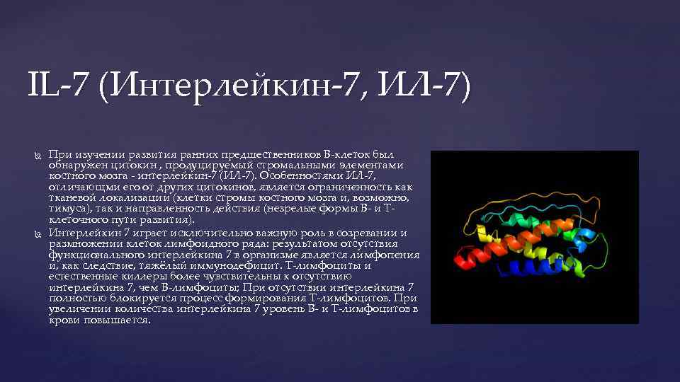 IL-7 (Интерлейкин-7, ИЛ-7) При изучении развития ранних предшественников В-клеток был обнаружен цитокин , продуцируемый