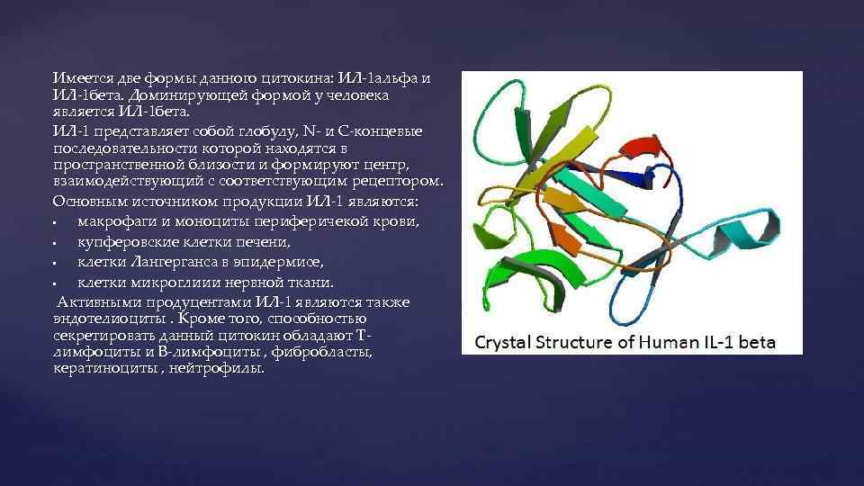 Имеется две формы данного цитокина: ИЛ-1 альфа и ИЛ-1 бета. Доминирующей формой у человека