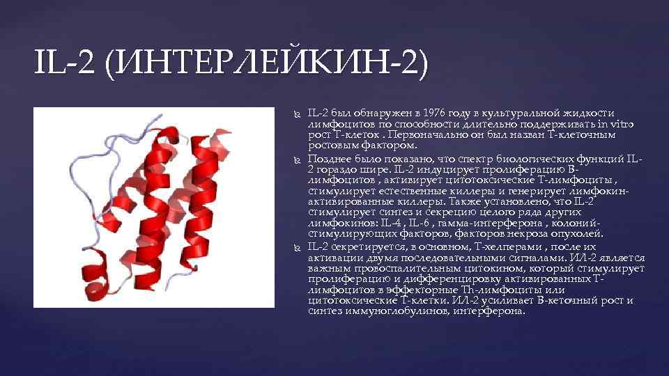 IL-2 (ИНТЕРЛЕЙКИН-2) IL-2 был обнаружен в 1976 году в культуральной жидкости лимфоцитов по способности