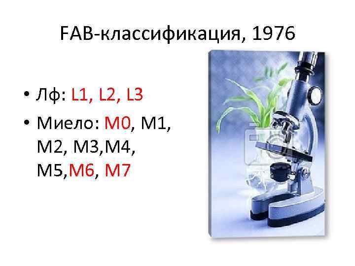 FAB-классификация, 1976 • Лф: L 1, L 2, L 3 • Миело: М 0,