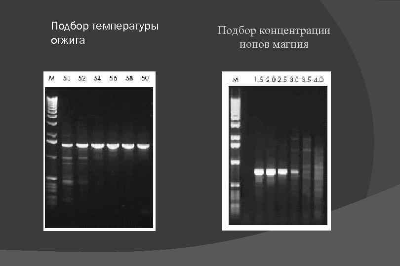 Подбор температуры отжига Подбор концентрации ионов магния 
