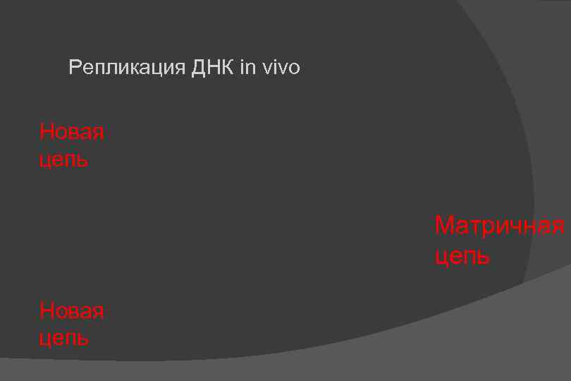 Репликация ДНК in vivo Новая цепь Матричная цепь Новая цепь 
