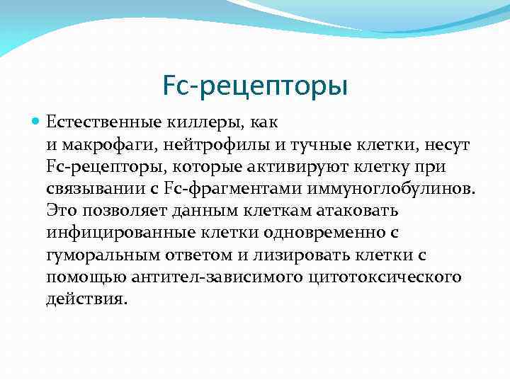 Fc-рецепторы Естественные киллеры, как и макрофаги, нейтрофилы и тучные клетки, несут Fc-рецепторы, которые активируют