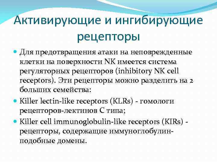 Активирующие и ингибирующие рецепторы Для предотвращения атаки на неповрежденные клетки на поверхности NK имеется