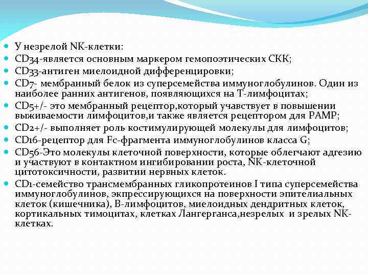  У незрелой NK-клетки: CD 34 -является основным маркером гемопоэтических СКК; CD 33 -антиген