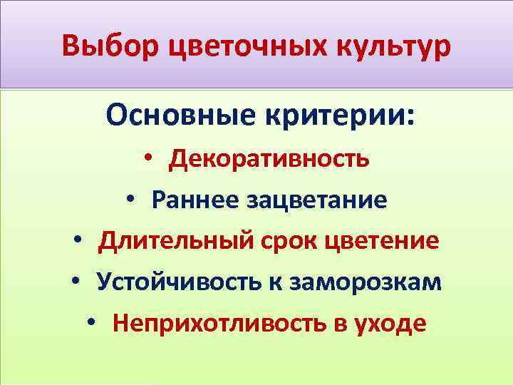Выбор цветочных культур Основные критерии: • Декоративность • Раннее зацветание • Длительный срок цветение