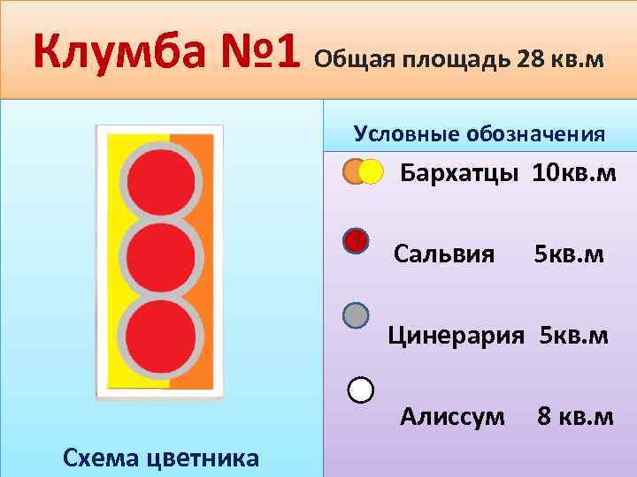 Клумба № 1 Общая площадь 28 кв. м Условные обозначения Бархатцы 10 кв. м