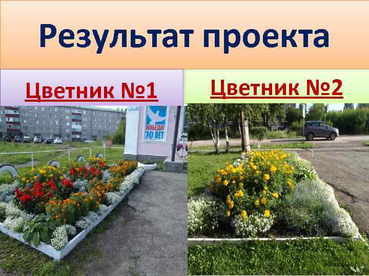 Результат проекта Цветник № 1 Цветник № 2 
