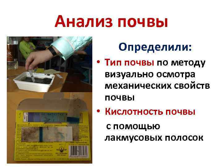 Анализ почвы Определили: • Тип почвы по методу визуально осмотра механических свойств почвы •