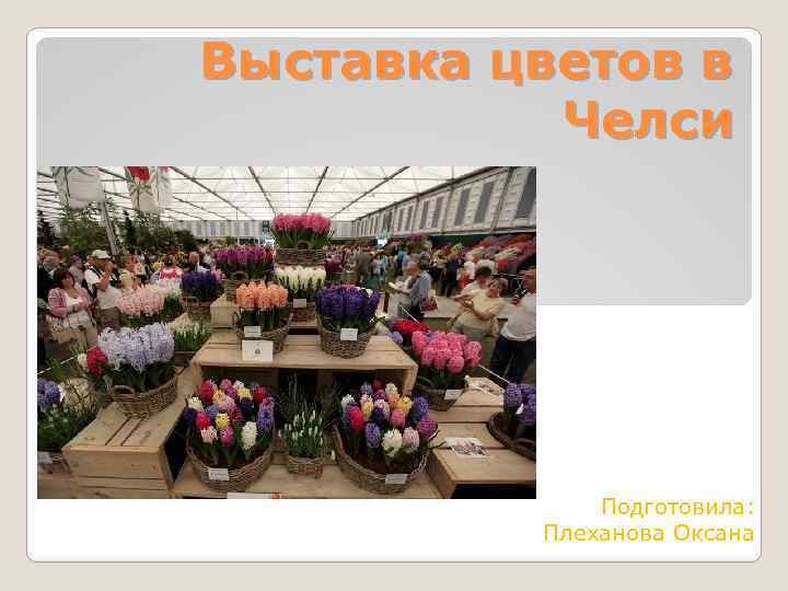Выставка цветов в Челси Подготовила: Плеханова Оксана 