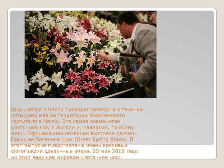 Шоу цветов в Челси проходит ежегодно в течении пяти дней мая на территории Королевского