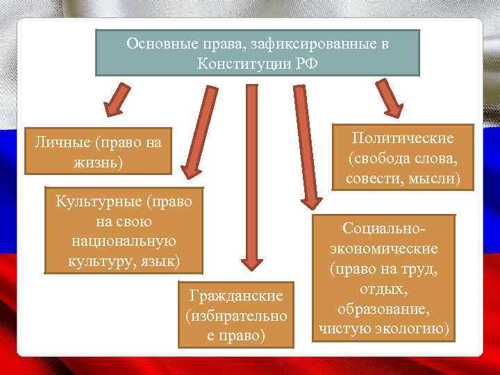 Основные права, зафиксированные в Конституции РФ Политические (свобода слова, совести, мысли) Личные (право на