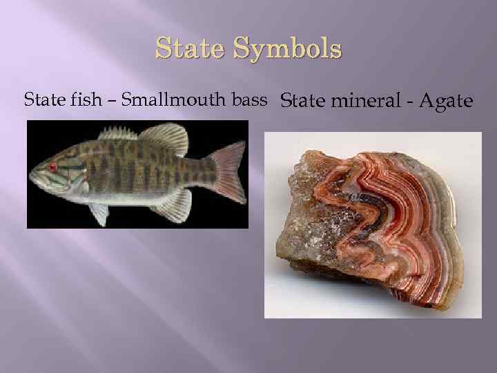 State Symbols State fish – Smallmouth bass State mineral - Agate 